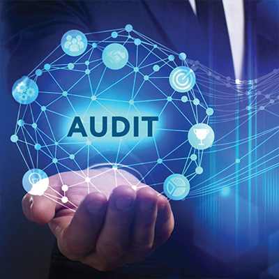 Forensic Audits and Risk Management by Leading Audit Firm in Borivali
